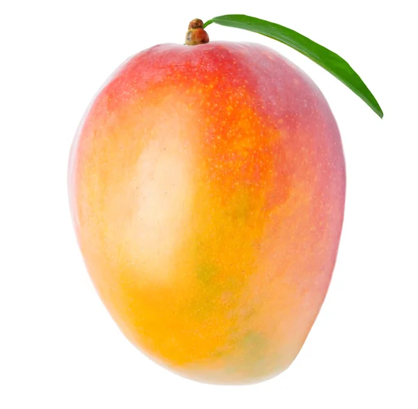 Mango isolerad på vitt — Stockfoto