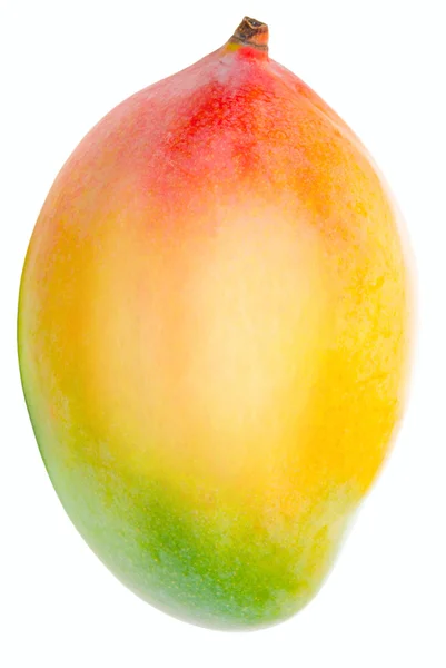 Mango isolerad på vitt — Stockfoto