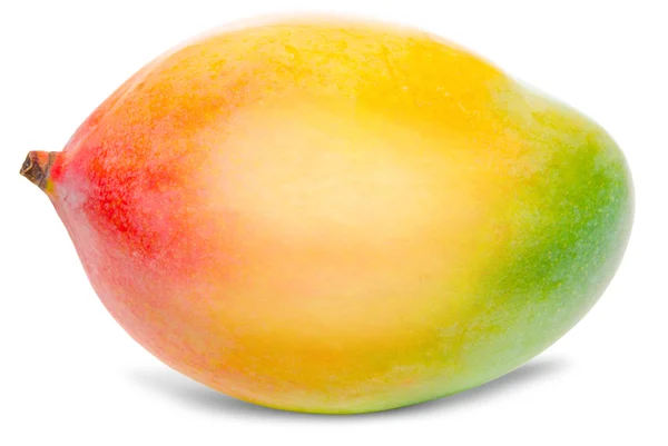 Mango diisolasi pada warna putih — Stok Foto