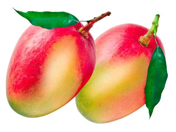 Mango απομονωμένο σε λευκό — Φωτογραφία Αρχείου