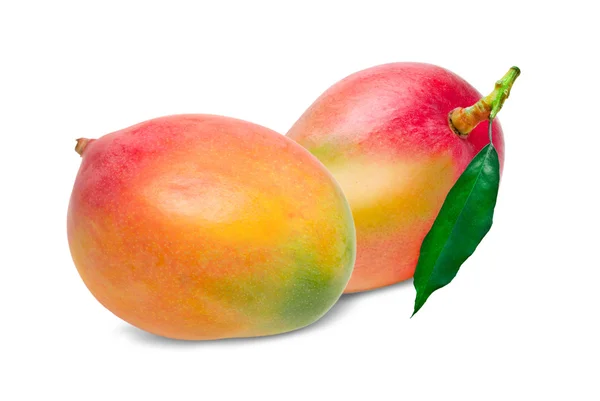 Mango isolated on white — Stock Photo, Image