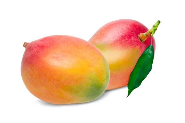 Mango isolato su bianco — Foto Stock