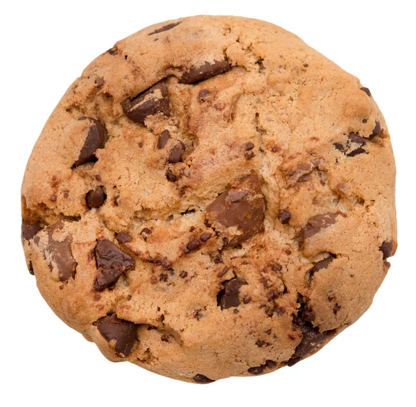 Chocolate chip cookie — Stock Photo, Image