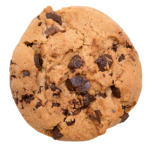 Chocolate chip cookie Stock Image