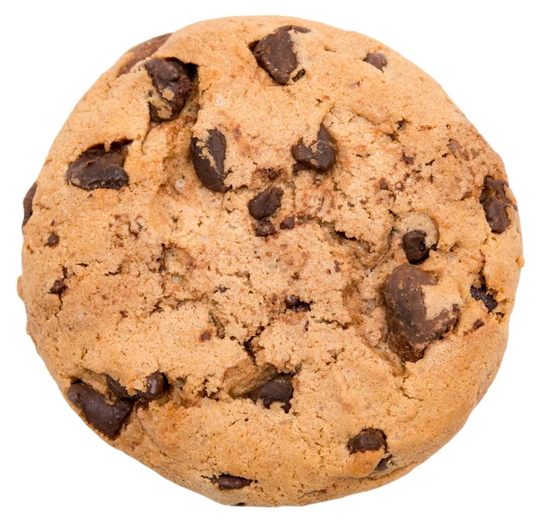 Chocolate chip cookie — Stock Photo, Image