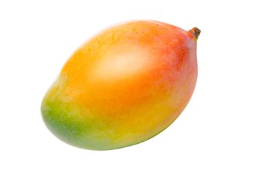 Mango beyaz üzerine izole