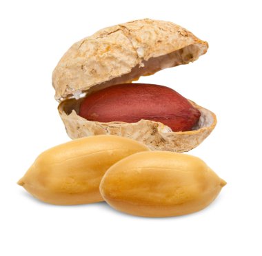 beyaz üzerine Arachis fıstık