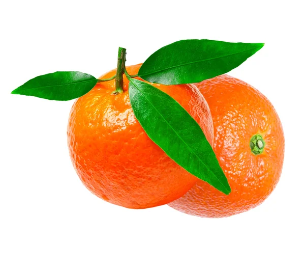 Mandarino isolato su bianco — Foto Stock