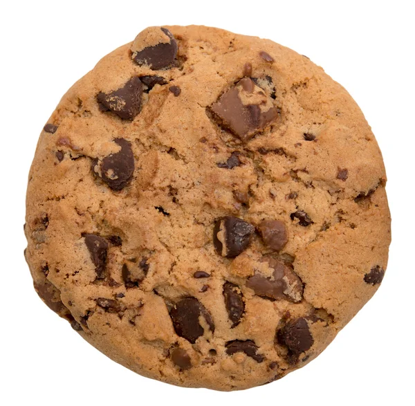 Chocolate chip cookie — Stock Photo, Image