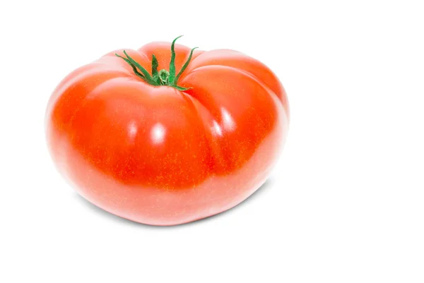 Tomate isoliert auf weiß — Stockfoto