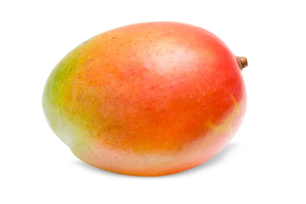 Mango geïsoleerd op wit — Stockfoto