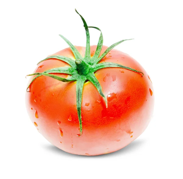 Tomate aislado sobre blanco — Foto de Stock