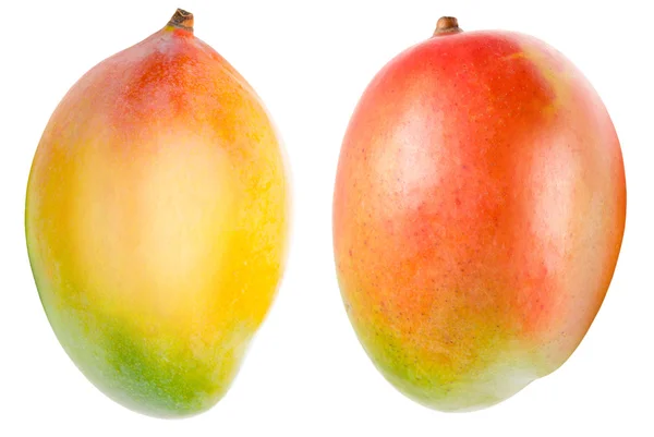 Mango isolerad på vitt — Stockfoto