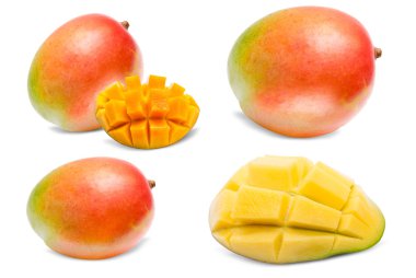 Mango beyaz üzerine izole