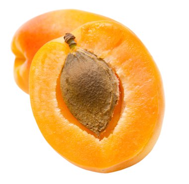 Kayısı beyazda izole edilmiş