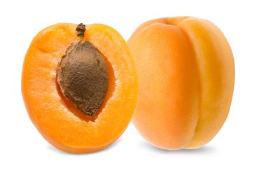 Kayısı beyazda izole edilmiş