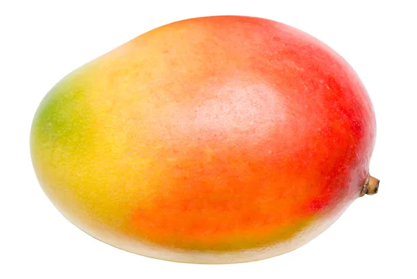 Mango isoliert auf weiß — Stockfoto