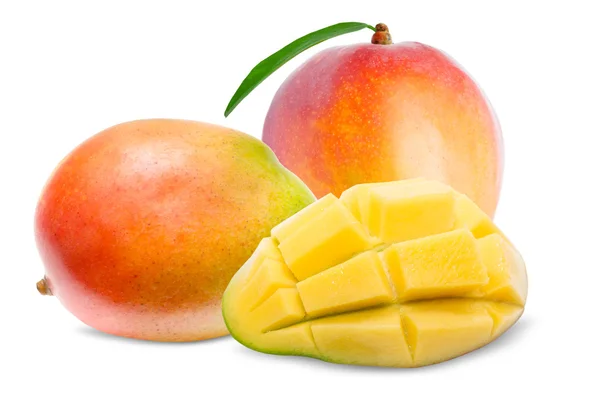 Mango geïsoleerd op wit — Stockfoto