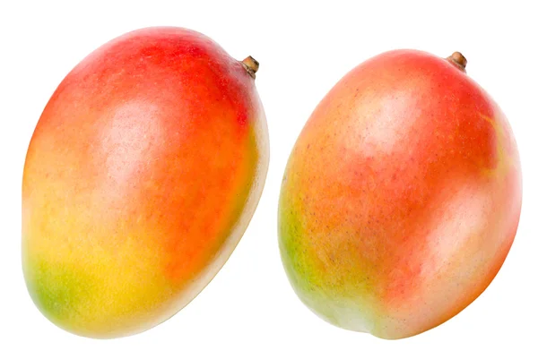 Mango isolato su bianco — Foto Stock