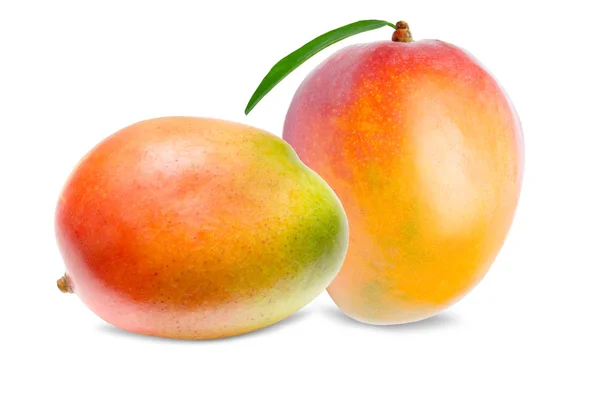 Mango beyaz üzerine izole — Stok fotoğraf