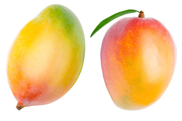 Mango isolerad på vitt — Stockfoto