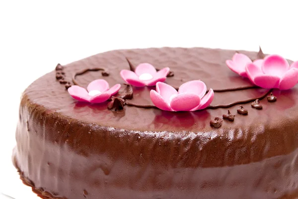 Chocolate cake — Stock Photo, Image