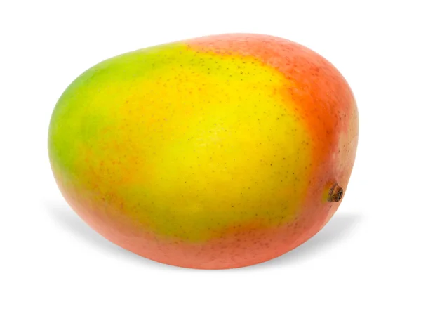 Mango — Stok fotoğraf