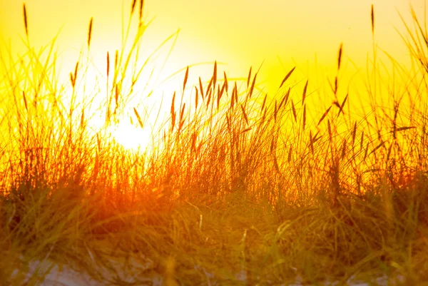 Puesta de sol sobre el mar — Foto de Stock