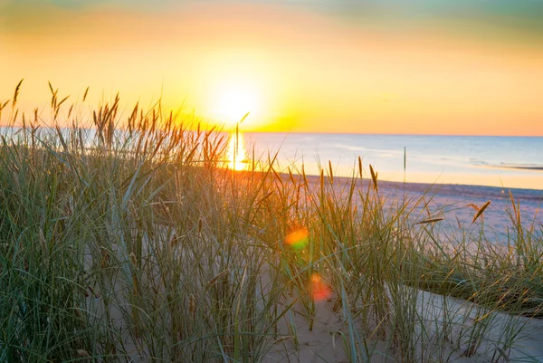 Solnedgång över havet — Stockfoto