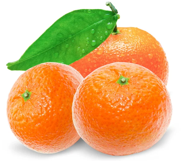 Mandarina — Foto de Stock