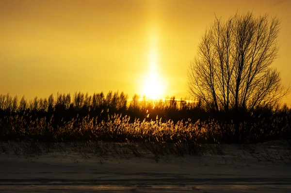 Puesta de sol invierno — Foto de Stock