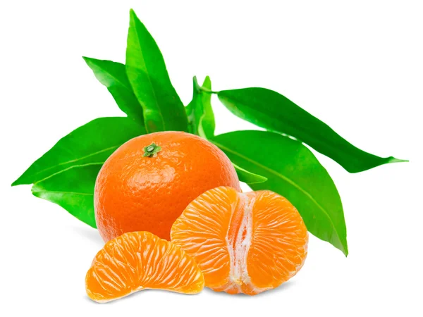 Mandarin – stockfoto