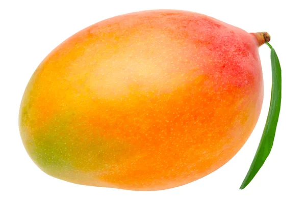 Mango geïsoleerd op wit — Stockfoto