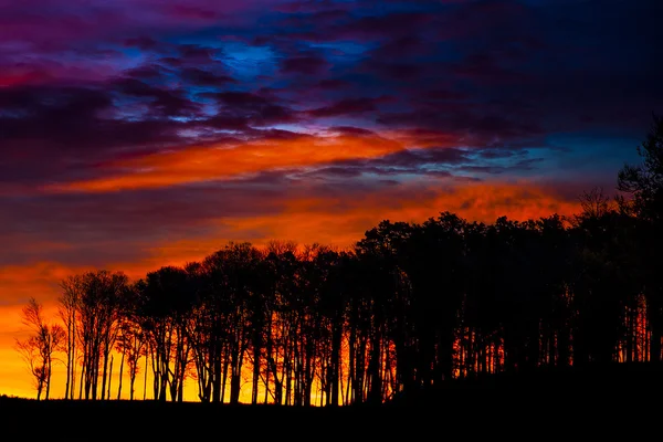 Levendige Morning Sunrise — Stockfoto