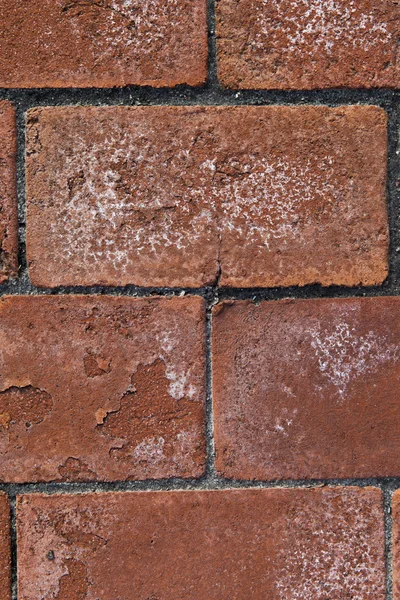 Spalled 벽돌 — 스톡 사진