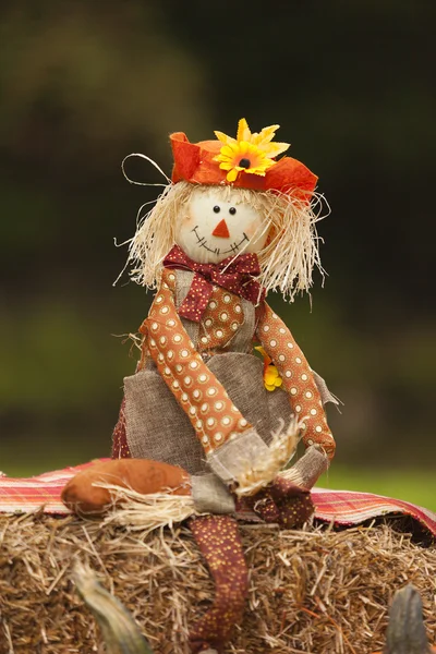 秋のかかし人形 — ストック写真