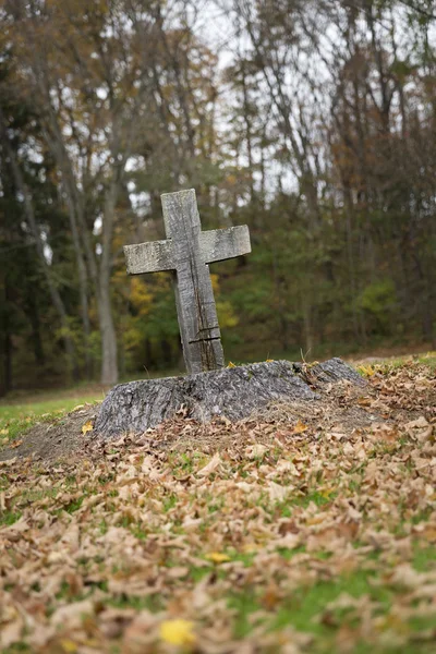 Religiöses Kreuz in Baumstumpf geschnitzt — Stockfoto