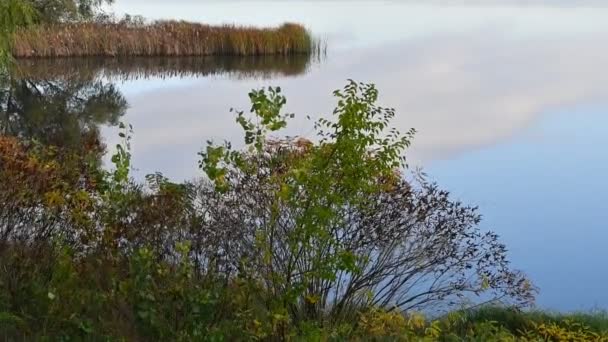 Отражение Облаков Воде Небо Воде — стоковое видео