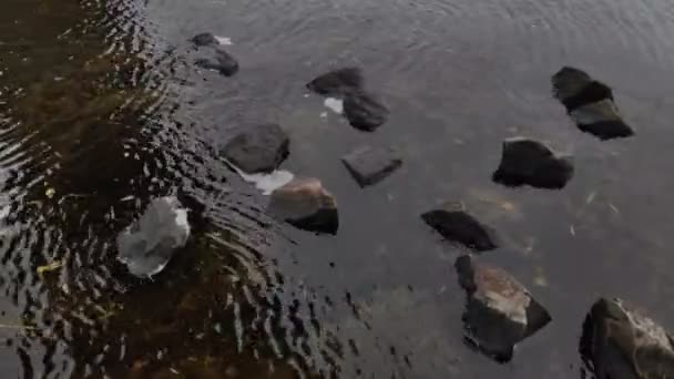 秋天的风景 有一条河 空旷的海滩在冬天 水和石头 — 图库视频影像