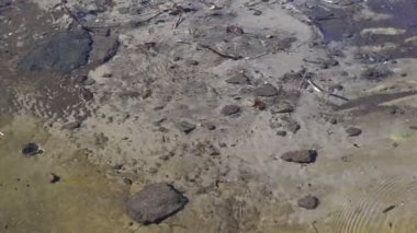 Nehirde soğuk, temiz su var. Kum ve algler nehrin tepesinde.