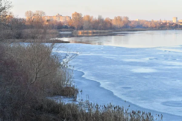 ice on the river. winter landscape with a river. water and reeds on the shore. reflection in the water in winter