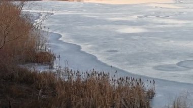 Nehirdeki buz. Nehirli kış manzarası. Kıyıda su ve sazlıklar. Kışın sudaki yansıma