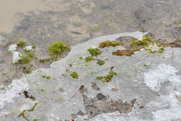 Eis Auf Dem Fluss Tauwetter Frühling Das Eis Schmilzt Der — Stockfoto