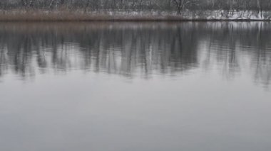 Nehirdeki buz. İlkbahar buzu. Buz eriyor. Nehir donar..