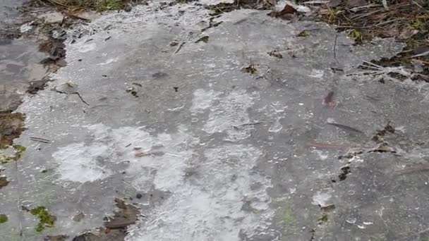 Glace Sur Rivière Dégel Printemps Glace Fond Rivière Gèle — Video