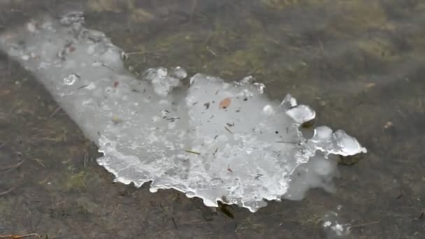 Ghiaccio Sul Fiume Disgelo Primaverile Ghiaccio Sta Sciogliendo Fiume Congela — Video Stock