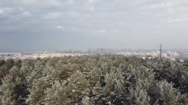 Orman yukarıdan karla kaplı. Kışın yüksek hayaller.