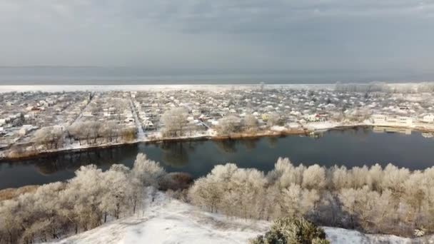 Bos Sneeuw Van Boven Hoge Dromen Winter — Stockvideo