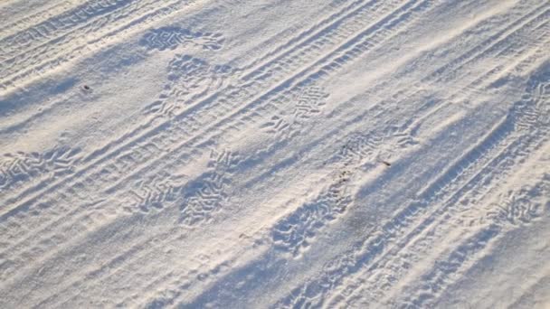 雪の中の足跡 雪の中の足跡だ 雪の中のタイヤ痕 — ストック動画