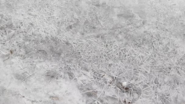 Fehér Jég Jég Textúra Fagyasztott Víz Folyón — Stock videók